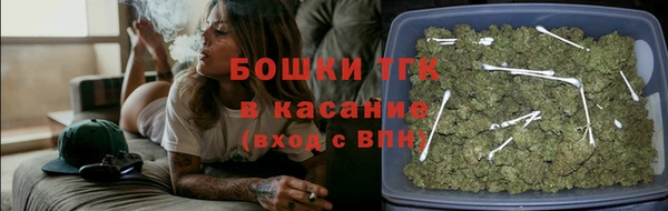 индика Володарск