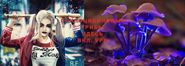 дживик Видное